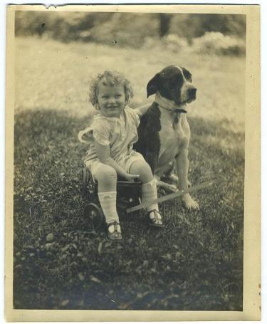 Little Girl with Pit Bull