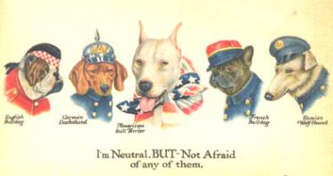 World War I Pit Bull Poster