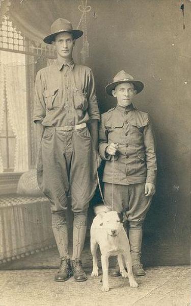 WWI Pit Bull Service Dog