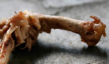 what happens if my dog ate cooked chicken bones